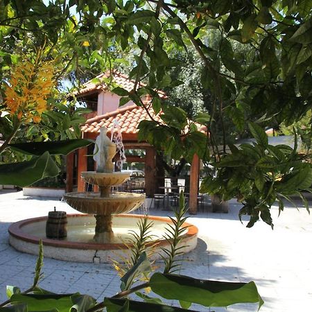 أفيرو Hotel Joao Capela المظهر الخارجي الصورة