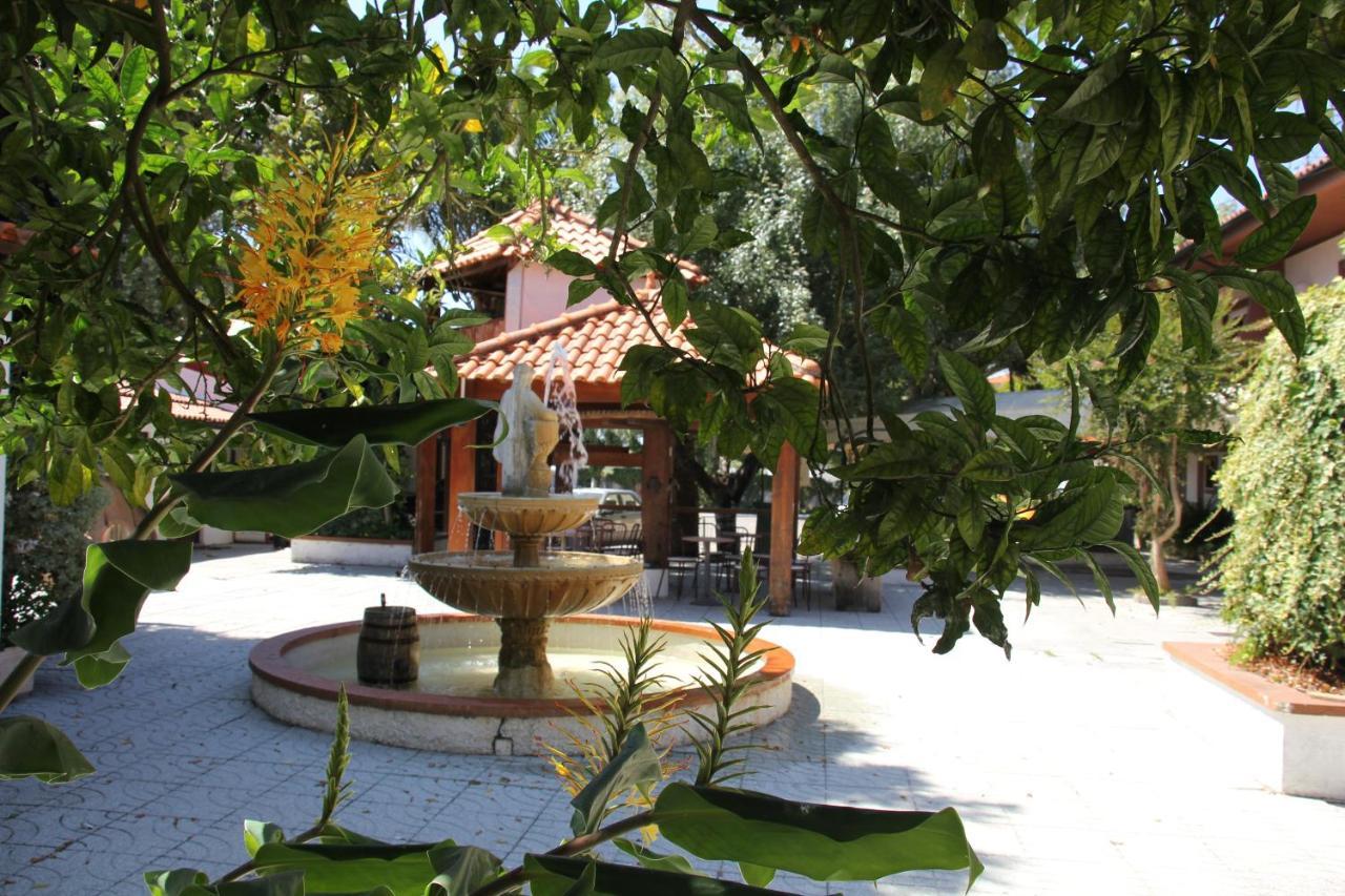 أفيرو Hotel Joao Capela المظهر الخارجي الصورة